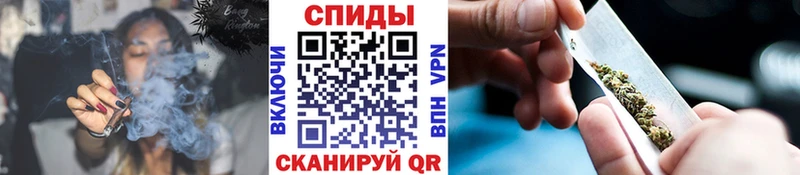 БУТИРАТ буратино Сочи