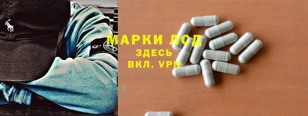 PSILOCYBIN Няндома