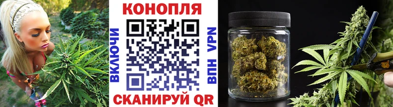 Конопля Amnesia  блэк спрут как войти  Сочи 
